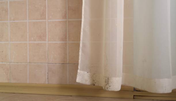 Mold Remediation for Vacation Homes in West Des Moines, IA