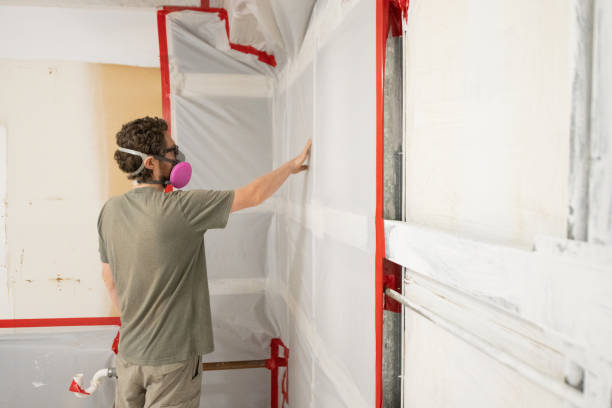 Best Mold Documentation for Insurance Claims  in West Des Moines, IA
