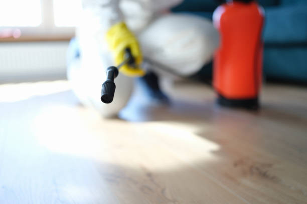 Best Forensic Mold Investigation  in West Des Moines, IA