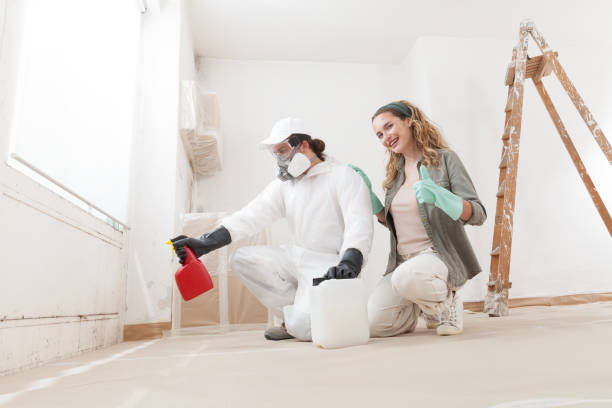 Best Mold Odor Removal Services  in West Des Moines, IA